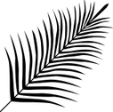Palm Leaf PNG