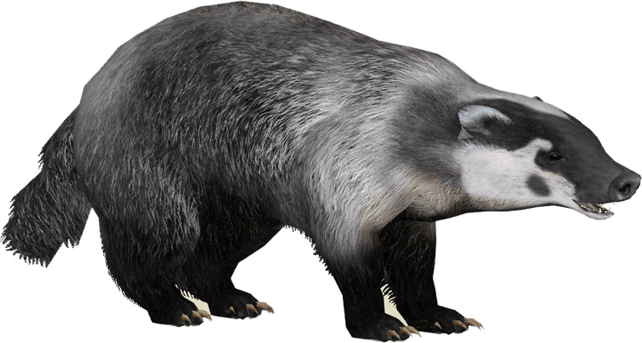 Stink Badgers PNG