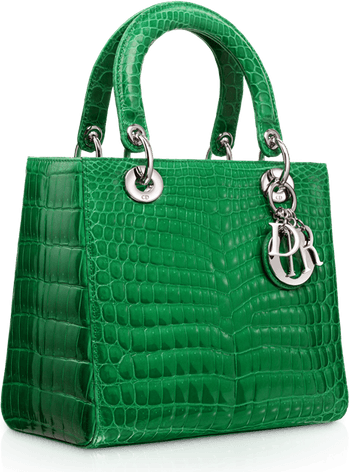 Louis Vuitton Bag PNG