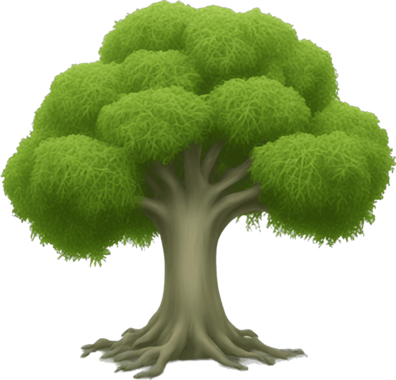 Spanish Moss Tree PNG