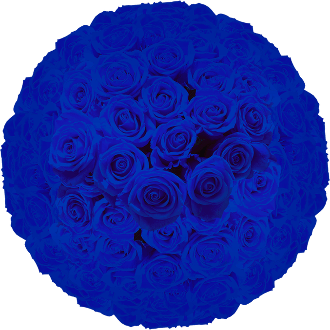 Royal Blue Rose PNG