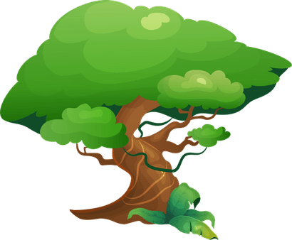 Rainforest Tree PNG