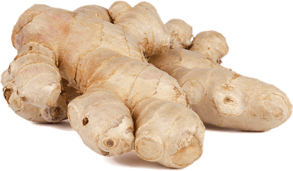 Galangal PNG