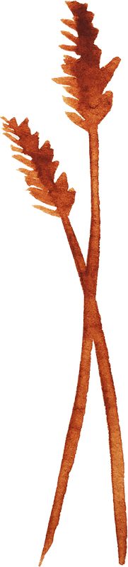 Watercolor Grass PNG