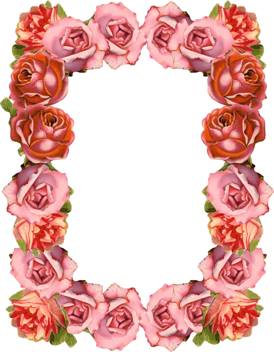 Rose Gold Frame PNG