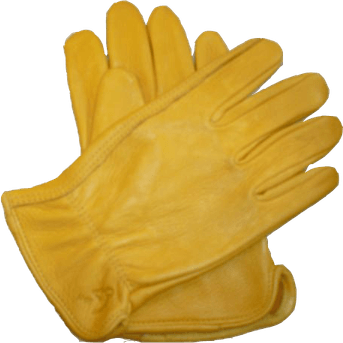Gloves PNG