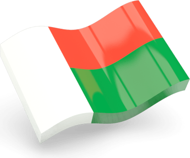 Madagascar Flag PNG