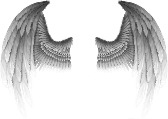 Devil Wings PNG
