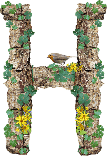 H Letter PNG
