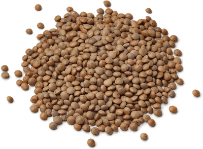 Lentils PNG
