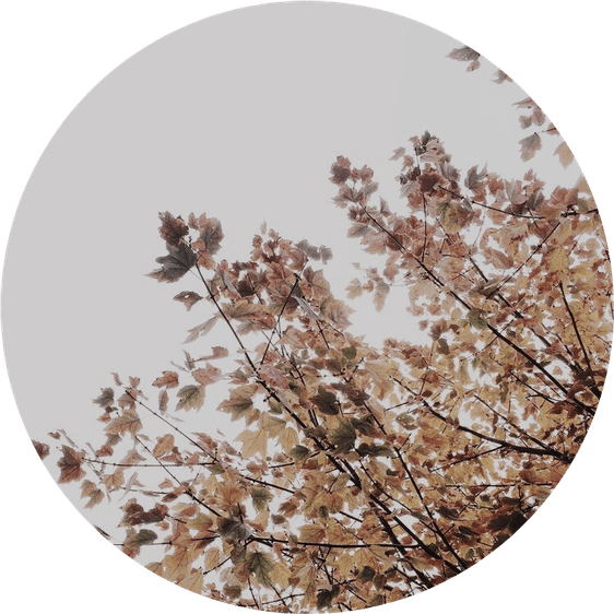 Autumn Aesthetic Theme PNG