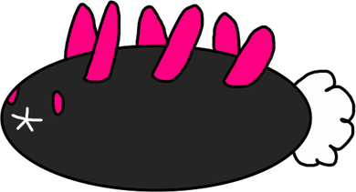 Pyukumuku Pokemon PNG