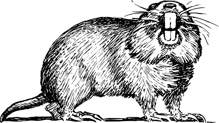 Gopher PNG