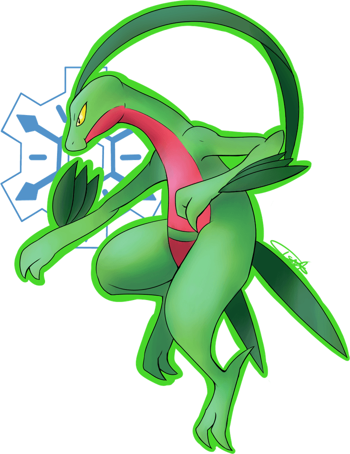 Grovyle Pokemon PNG