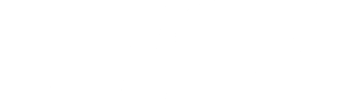 Visa Logo PNG