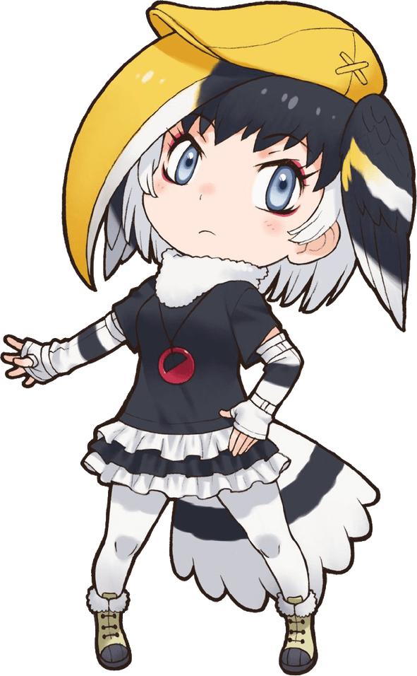 Rhinoceros Hornbill PNG