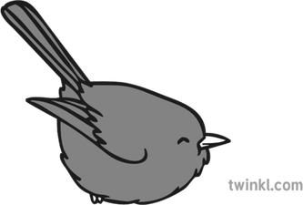 Wrens PNG