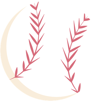 Baseball Stitch PNG