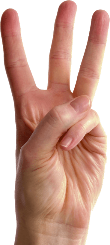 Fingers PNG
