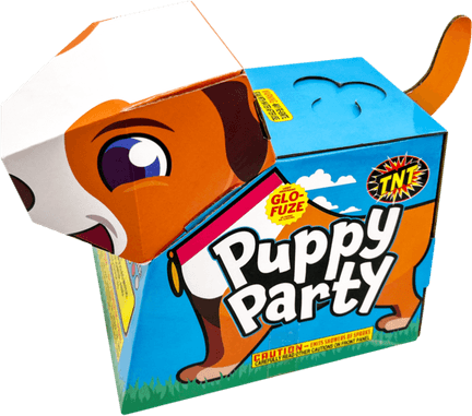 Party Fireworks PNG
