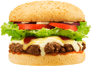 Vegetarian Burger PNG