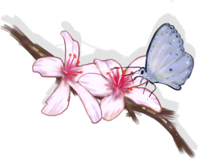 Flower With Butterfly PNG