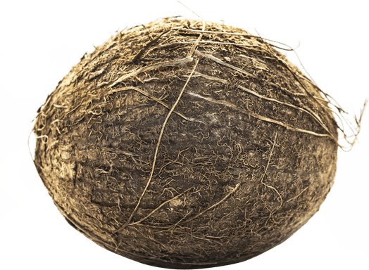 Hay PNG