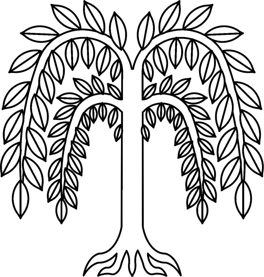 Willow Tree PNG