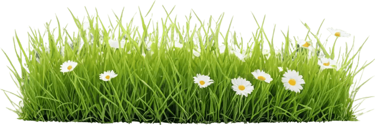 Moving Grass PNG