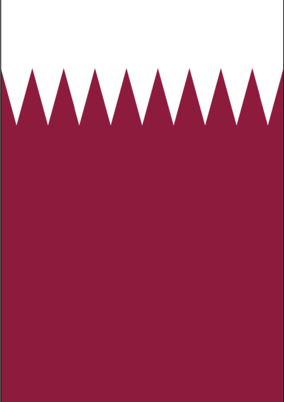 Qatar Flag PNG