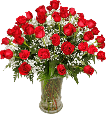 Long Stem Rose PNG