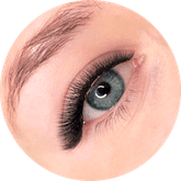 Eye Lash PNG