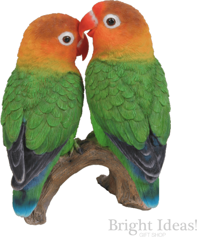 The Lovebirds PNG