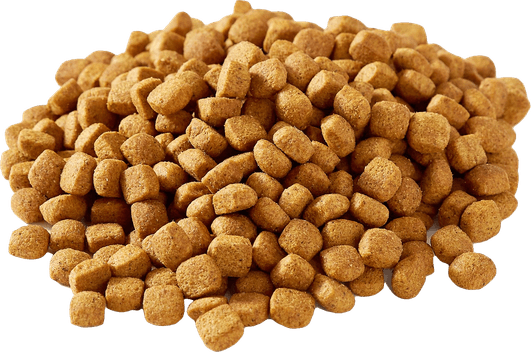Dog Food PNG