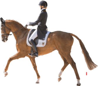 Sandra Auffarth PNG