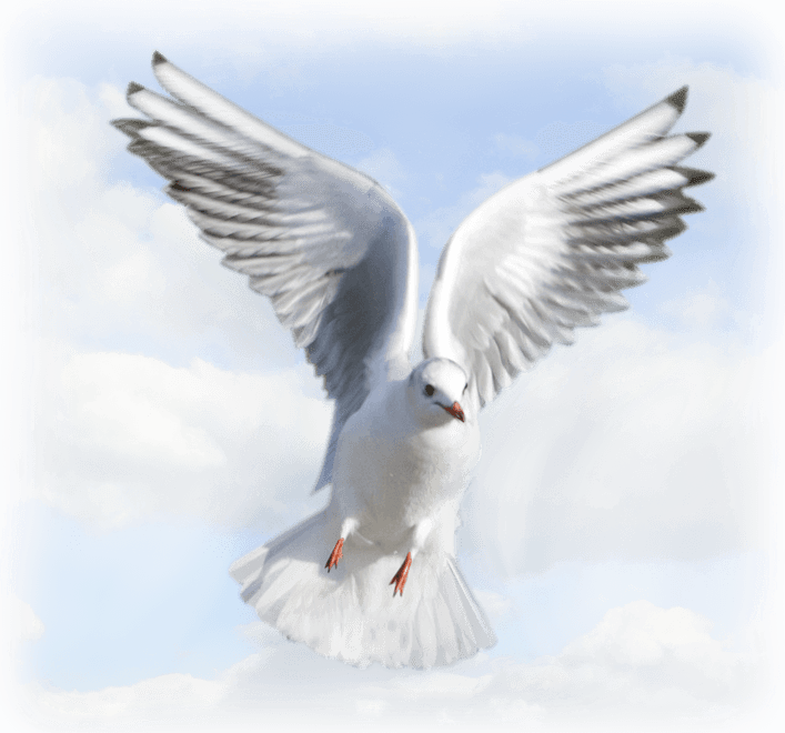 Holy Spirit PNG