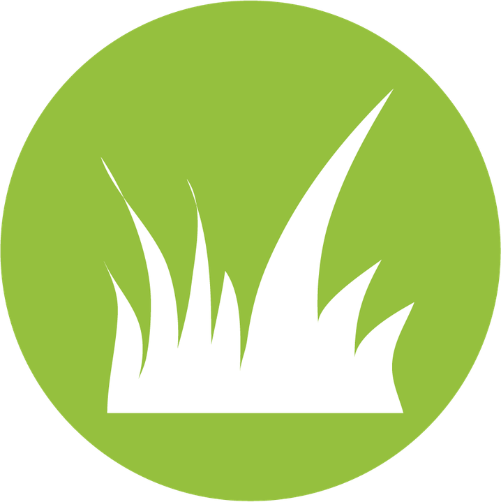 Grass Circle PNG