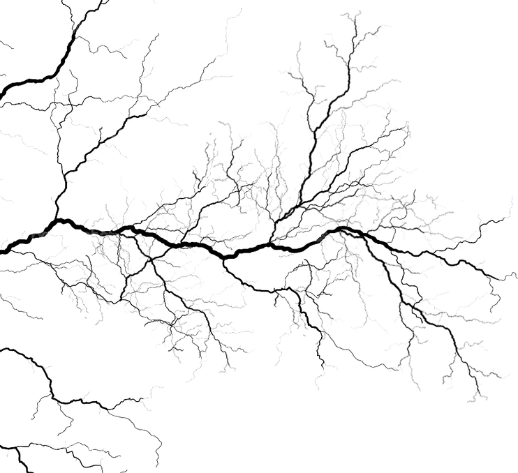 Vein PNG