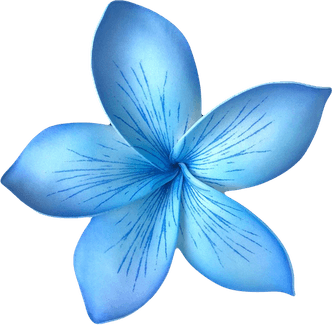 Tropical Flower PNG