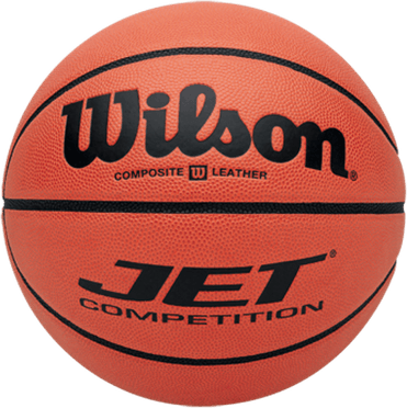Wilson Evolution Basketball PNG