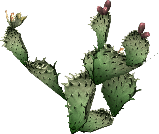 Prickle PNG