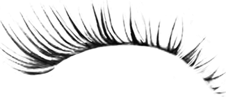 Eye Lash PNG