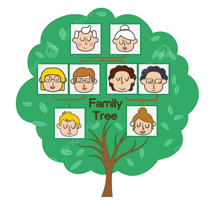 Family Tree PNG