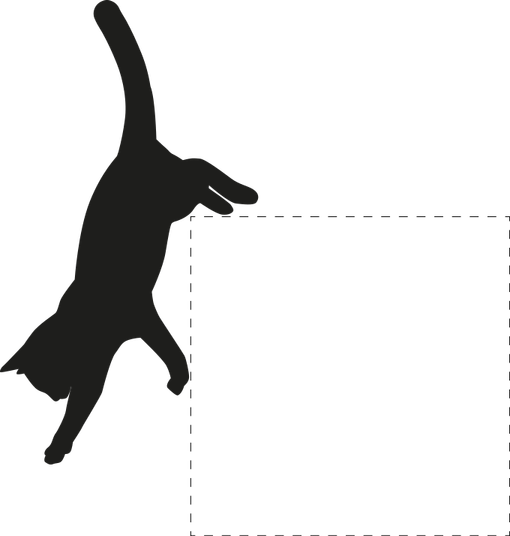 Cat Jumping PNG
