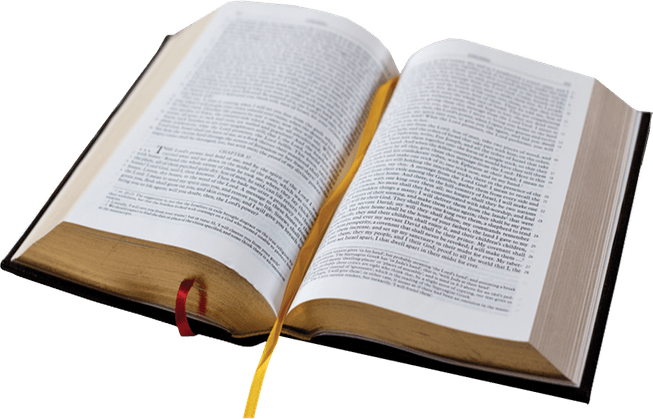 Bible PNG
