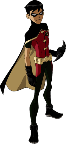 Superhero Robin PNG
