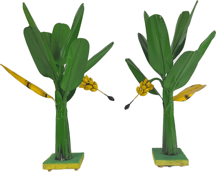 Banana Tree PNG