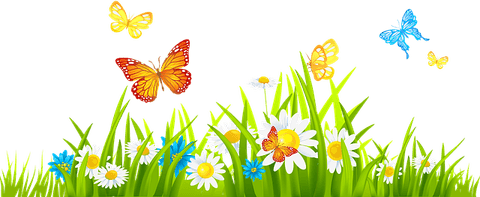 Grass With Butterfly PNG