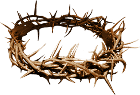 Thorn PNG