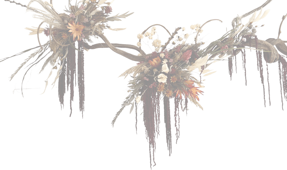 Pampas PNG